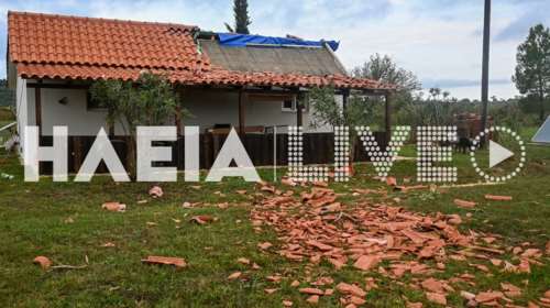 Ανεμοστρόβιλος σάρωσε την Ηλεία: Ξερίζωσε δέντρα, διέλυσε στέγες [εικόνες - βίντεο]