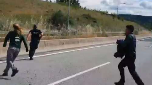 Συγκινητικη διάσωση για αρκουδάκι που εγκλωβίστηκε σε υπόγεια διάβαση της Εγνατίας Οδού [Βίντεο]