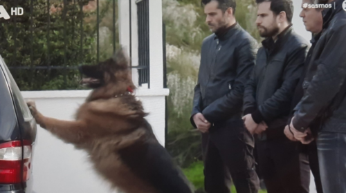 Σασμός-Κώστας Νικούλι: Η συγκίνηση όταν είδε τη σκηνή της &quot;κηδείας&quot; του - Η αποκάλυψη για τον σκύλο του Πετρή