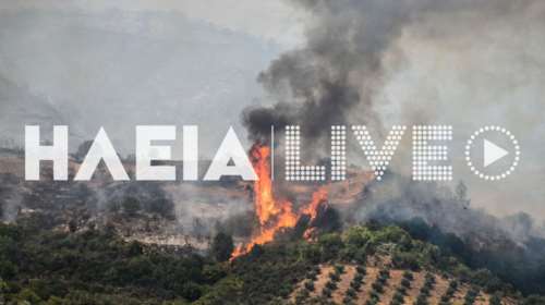 Φωτιά στην Πεύκη Ηλείας: Σηκώθηκε ελικόπτερο, συναγερμός στην Πυροσβεστική
