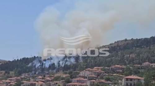 Λέσβος: Φωτιά σε δασική έκταση στην Άντισσα [βίντεο]