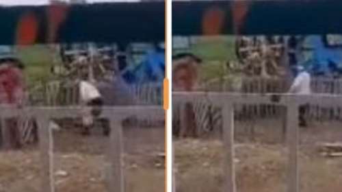 Θεσσαλονίκη: Πρόστιμο 5.000 ευρώ σε 70χρονο μετά από καταγγελία για κακοποίηση ζώου