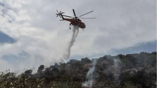 Φωτιά στη Χίο σε περιοχή με μαστιχόδεντρα - Εστάλη μήνυμα από το 112