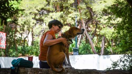 Λαγουβάρδος: Παγκόσμιο hotspot της κλιματικής κρίσης η Μεσόγειος - Τα καλοκαίρια στην Ελλάδα γίνονται εκρηκτικά