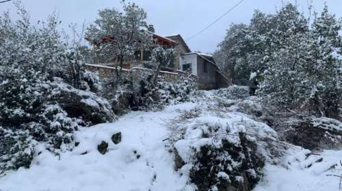 Καλλιάνος: Υποχωρεί ο &quot;Λέανδρος&quot;, παραμένει ο παγετός και οι πολικές θερμοκρασίες - Πότε ανεβαίνει η θερμοκρασία