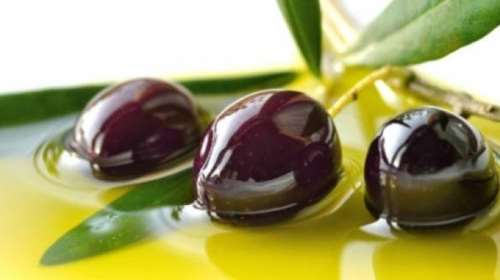 Ελληνικές βιολογικές ελιές σε κάψουλα, ως συμπλήρωμα διατροφής για τη μείωση της χοληστερόλης