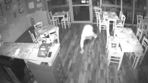 Νέα Φιλαδέλφεια: Συμμορία ξάφριζε καταστήματα - 49χρονος συνελήφθη επ&#39; αυτοφώρω [βίντεο]