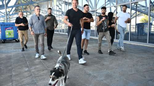 Dogs&#39; Voice: Τι λέει για την υπόθεση υιοθεσίας του πυρόπληκτου σκύλου από τον Στέφανο Κασσελάκη