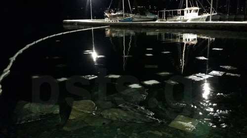 Αναστάτωση στην Πάρο: Πετρελαιοκηλίδα και νεκρά ψάρια στον κόλπο της Παροικιάς [εικόνες]