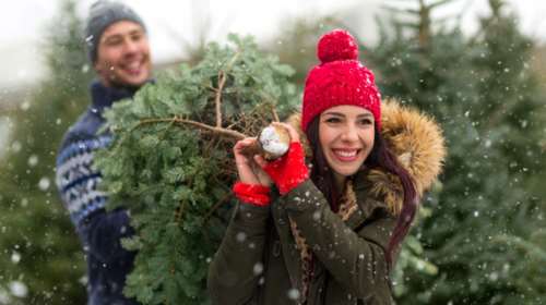 Έχετε χριστουγεννιάτικο δέντρο στο σπίτι; Είστε πιο υγιείς!