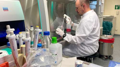 Ευλογιά των Πιθήκων: &quot;Ο ιός κυκλοφορούσε, δεν υπήρξαν ξεσπάσματα λόγω lockdown&quot; εκτιμά ο ΠΟΥ