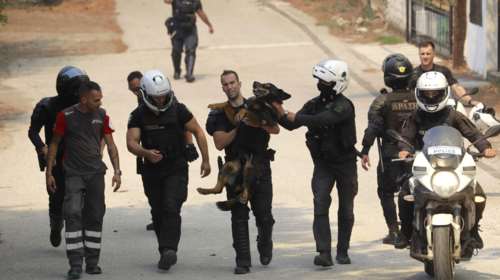 Φωτιές: Τα πρώτα θύματα τα ζώα -  Συγκινούν οι διασώσεις - Εκκλήσεις στα social media - Δεν αφήνουμε κανέναν πίσω