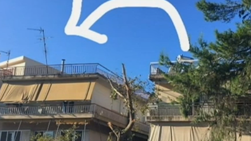 Νέο Ηράκλειο- Απίστευτο: Η κακοκαιρία παρέσυρε σκύλο από την ταράτσα στο απέναντι μπαλκόνι