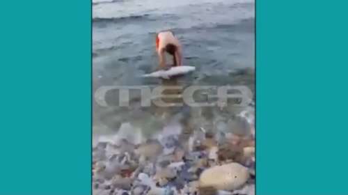 Θλιβερό θέαμα στο Ρέθυμνο - Δελφίνι ξεβράστηκε με αποκομμένη την ουρά του - Ζούμε στον μεσαίωνα λέει το  &quot;Αρχιπέλαγος&quot;