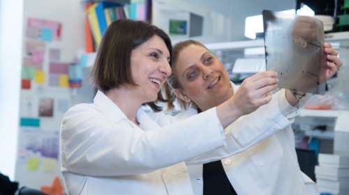 Ειρήνη Παπαπέτρου: Η Ελληνίδα ερευνήτρια στην Αμερική που πολεμά τη λευχαιμία