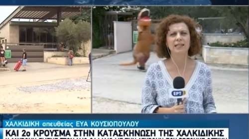 Viral: "Δεινόσαυρος" τρέχει πίσω από δημοσιογράφο της ΕΡΤ την ώρα του live