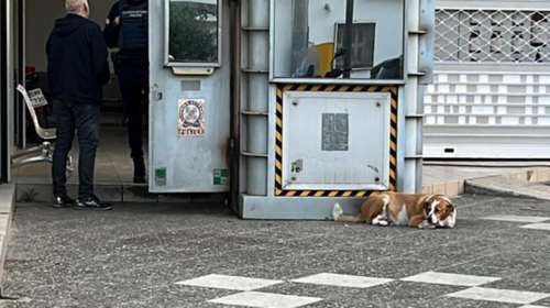 Σάλος στο twitter με το &quot;περιπολικό δεν είναι ταξί&quot;:  &quot;Ενας ταξιτζής θα την προστάτευε περισσότερο από την αστυνομία&quot;