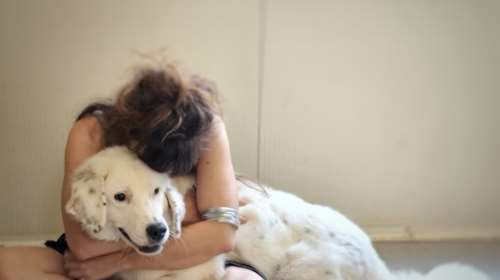 Σώστε ένα αδεσποτάκι: Κοιτάξτε φατσούλα - Ο Μπάρνεϊ μπορεί να σας αλλάξει τη ζωή - Είναι τυφλός, μας χρειάζεται