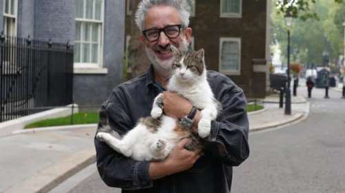 Ο Ντέβιντ Μπαντιέλ φέρνει τις γάτες στο προσκήνιο στη σειρά "David Baddiel: Cat Man"