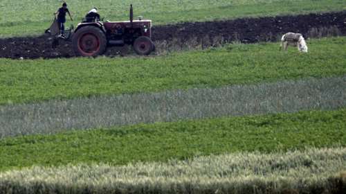 Χωρίς εποχιακούς εργάτες η δυτική Ευρώπη αναζητά λύσεις για να μην σαπίσει η σοδειά στα χωράφια