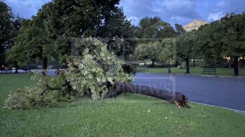 Κέρκυρα: &quot;Βομβαρδισμένο&quot; τοπίο η πόλη - Ξεριζώθηκαν δέντρα [εικόνες]