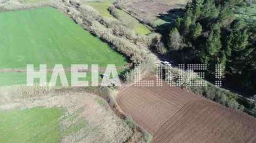 Άγριο φονικό στην Ηλεία για τα χωράφια - Ένας νεκρός και μία σοβαρά τραυματίας