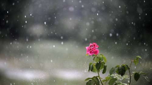 Σάκης Αρναούτογλου: Με συννεφιά, μπόρες, υγρασία και αυξημένες θερμοκρασίες ο καιρός την Τετάρτη