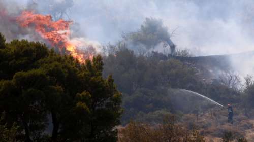 Συναγερμός στην Πυροσβεστική: Σε εξέλιξη πυρκαγιά στο Σοφικό Κορινθίας - Πνέουν ισχυροί άνεμοι