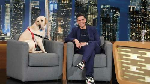 Ο Γιώργος Λιάγκας πήγε στον ΑΝΤ1 και ο σκύλος του Ουγγαρέζου δεν τον καλοδέχτηκε - Τι είπε η Σκορδά