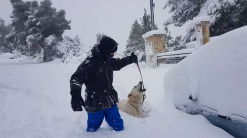 Μέχρι και η πρεσβεία της Ρωσίας εντυπωσιάστηκε από τον χιονιά στην Αθήνα και ανέβασε φωτογραφία