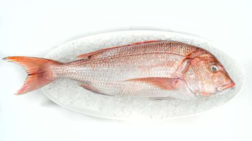 Μύρισε θάλασσα στη Στοά Σπυρομήλιου με ένα νέο σημαντικό εστιατόριο