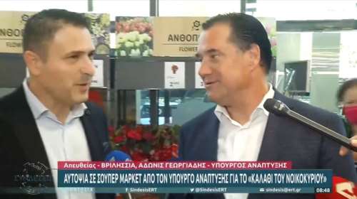 Γεωργιάδης για τα αντικλεπτικά στα βρεφικά γάλατα: Φυσιολογικό να τα κλειδώνουν, προστατεύουν την περιουσία τους