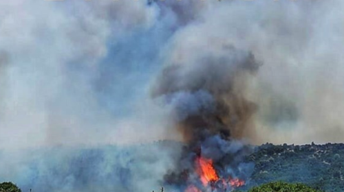 Πυρκαγιά στο Γεράνειο Λέσβου: Ισχυρές δυνάμεις της Πυροσβεστικής στο σημείο