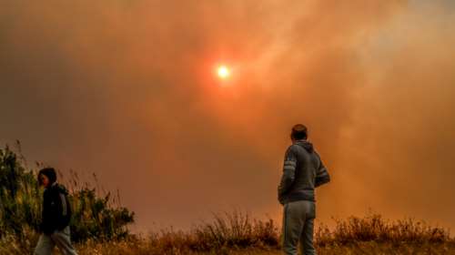 Ζερεφός: Πιθανότατα ο κορονοϊός προέρχεται από το λιώσιμο πάγων Σιβηρίας-Θερμοκρασίες ρεκόρ, καύσωνες και πυρκαγιές