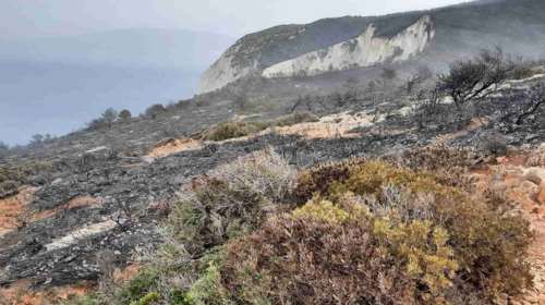 Πυρκαγιά στη Ζάκυνθο: Κρανίου τόπος η περιοχή πάνω από το Ναυάγιο - Οριοθετήθηκε η φωτιά [βίντεο]