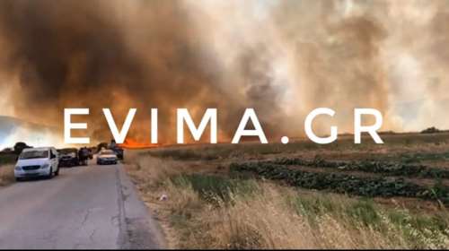 Φωτιά στην Εύβοια: Κοντά σε σπίτια στα Κριεζά - Εκκενώνεται η περιοχή [Εικόνες - Βίντεο]