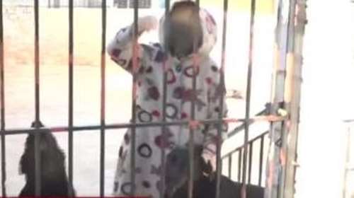 Βοιωτία: Η 62χρονη ήθελε να φύγει στο εξωτερικό πριν αποκαλυφθεί η υπόθεση με τη νεκρή της μητέρα. - &quot;Μου είπε να την πάρω στη Γερμανία&quot;