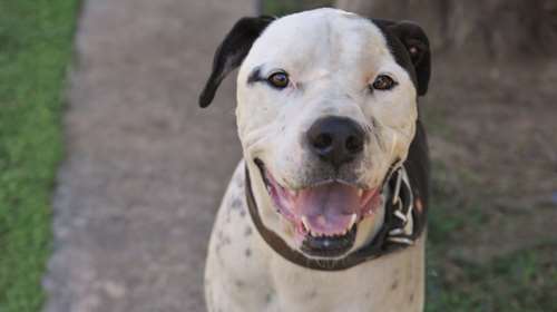 Η ιστορία του Δούκα: Από τον δρόμο στα μαξιλάρια και από κει πάλι στο δρόμο