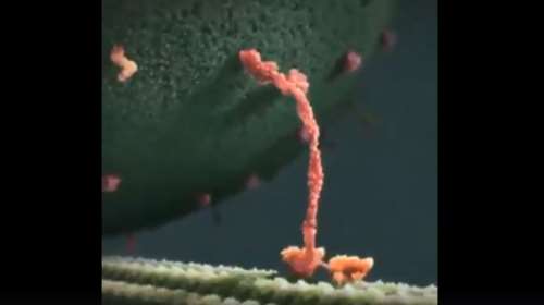 Ετσι είναι η ευτυχία: Η τεχνολογία κατέγραψε την &quot;εικόνα&quot; της στον εγκέφαλο [βίντεο]