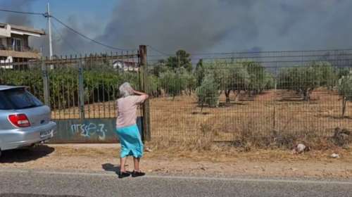Φωτιά στην Κερατέα: Σπαρακτικές εικόνες στα μέτωπα - &quot;Πάει το δασάκι μου, πάει, τελευταία φορά που σε βλέπω&quot;