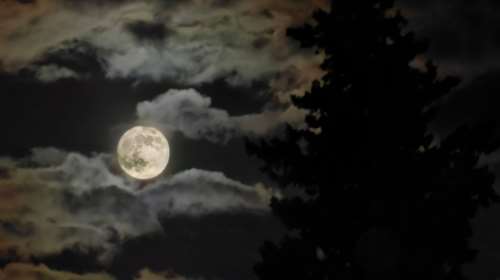 Πανσέληνος 2024: Απόψε φωτίζει τον ουρανό η  &quot;Ψυχρή Σελήνη&quot;, η τελευταία του έτους - Από πού πήρε το όνομά της