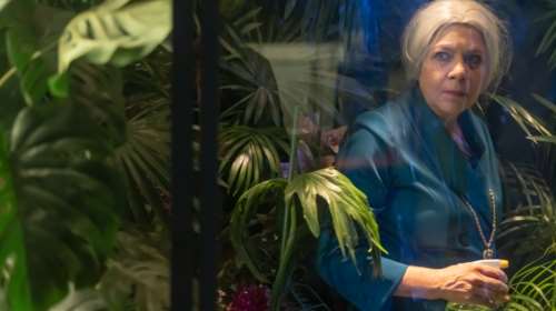 Amalia melancholia, η βασίλισσα των φοινίκων: Ένα ζωντανό έκθεμα φυσικής και πολιτικής ιστορίας