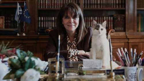 Δικαστές και εισαγγελείς εκπαιδεύονται για την κακοποίηση των ζώων - Υπό την αιγίδα Σακελλαροπούλου