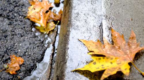 Φθινόπωρο ξανά: Πτώση θερμοκρασίας και άνεμοι έως 6 μποφόρ - Πού θα σημειωθούν βροχές