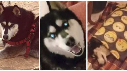 Αράχωβα: Οι άνθρωποι που μου μιλάνε είναι απόλυτα βέβαιοι για κακοποίηση, λέει η δικηγόρος