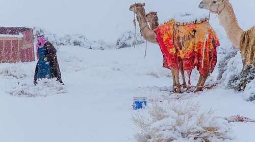 Απίστευτο: Χιόνισε στη Σαχάρα - Στους -3 η θερμοκρασία στη Σαουδική Αραβία [εικόνες]