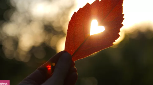 Ζώδια: Ερωτικές εξελίξεις στα μέσα του φθινοπώρου