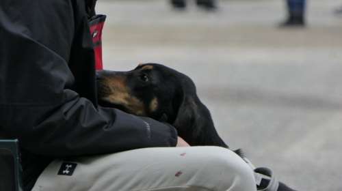 Ένας ζωντανός σκελετός ήταν η Φρίντα: Το αποστεωμένο της κορμί κουνιόταν πέρα δώθε κάθε φορά που έβλεπε άνθρωπο