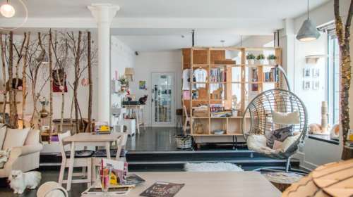 Τι δεν πρέπει να τρώνε οι γάτες: Τοξικές ουσίες στο σπίτι, τα αγαθά φυτά που μπορούν να αποβούν μοιραία