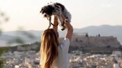 Ντορέττα Παπαδημητρίου: &quot;Είναι τόσα πολλά τα αδέσποτα, που μου φαίνεται αδιανόητο να αγοράσεις ένα σκυλί&quot;